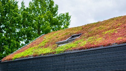 Testimonails_4-1 Green Roof by Southern Cross Projects
