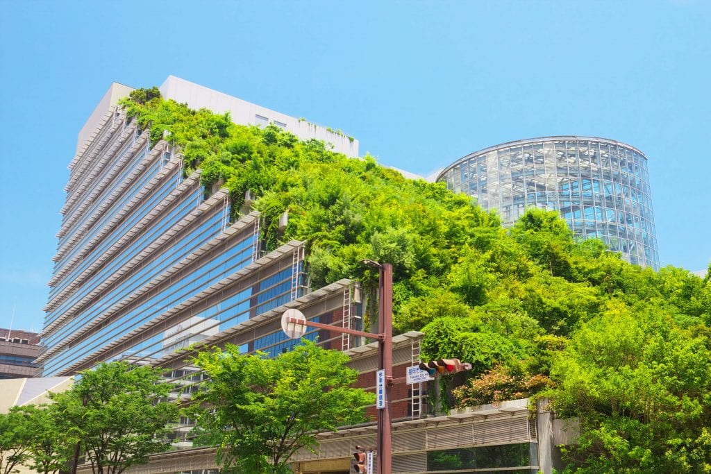 Green Roofs